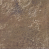 BEACH TERRA BRILLO 15X15 GAT.1 (P.100667)