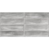 BOTAN GREY BRILLO 30X60 GAT.1 (P.100809)
