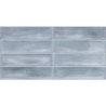 BOTAN SKY BRILLO 30X60 GAT.1 (P.100813)