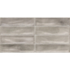BOTAN VISON BRILLO 30X60 GAT.1 (P.100817)