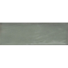 BULEVAR JADE BRILLO 10X30,5 GAT.1 (P.100849)