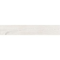 CAMDEN WHITE MAT 25X150...