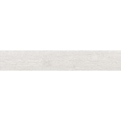 CAMDEN WHITE MAT 20X120...
