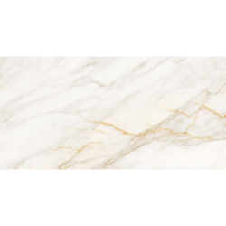 CASPIO GOLD POLER 60X120...