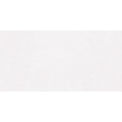 CONCORDE WHITE MAT 60X120...