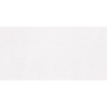 CONCORDE WHITE MAT 60X120 REKT. GAT.1 (P.101095)