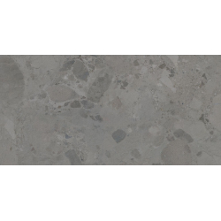 EDGE GREIGE MAT 60X120...