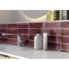 JAZBA GARNET BRILLO 6X24,6 GAT.1 (P.101801)