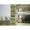 JAZBA OLIVE BRILLO 6X24,6 GAT.1 (P.101807)