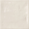 MOOS IVORY BRILLO 13X13 GAT.1 (P.102275)