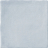 MOOS SKY BRILLO 13X13 GAT.1 (P.102281)