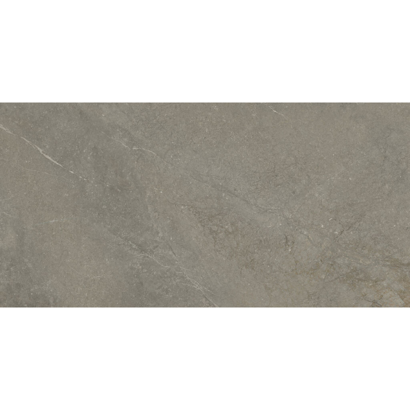 MUNICH TAUPE MAT 60X120 REKT. GAT.1 (P.102315)