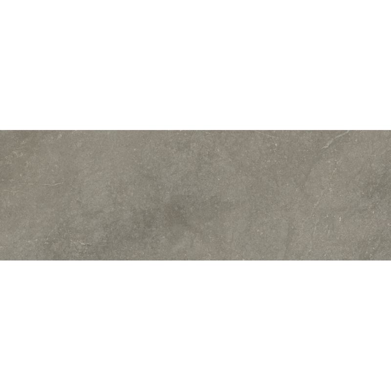 MUNICH TAUPE MAT 40X120 REKT. GAT.1 (P.102335)