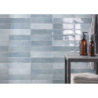 OMNIA BLUE BRILLO 7,5X30 GAT.1 (P.102515)