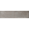 OMNIA DECOR BEIGE BRILLO 7,5X30 GAT.1 (P.102529)