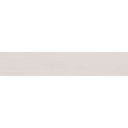 OXFORD BLANCO MAT 23X120...