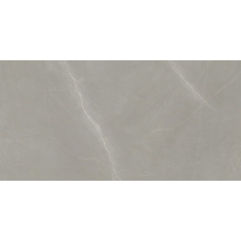 PARADISE TAUPE POLER 60X120 REKT. GAT.1 (P.102807)
