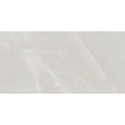 PARADISE PEARL MAT 60X120...