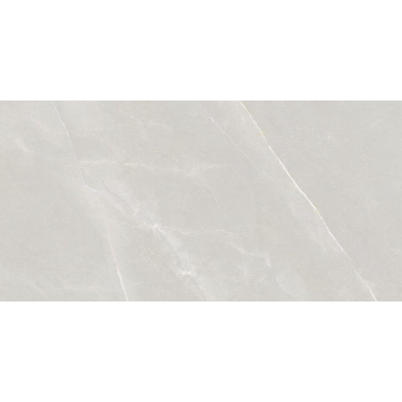PARADISE PEARL MAT 60X120 REKT. GAT.1 (P.102813)