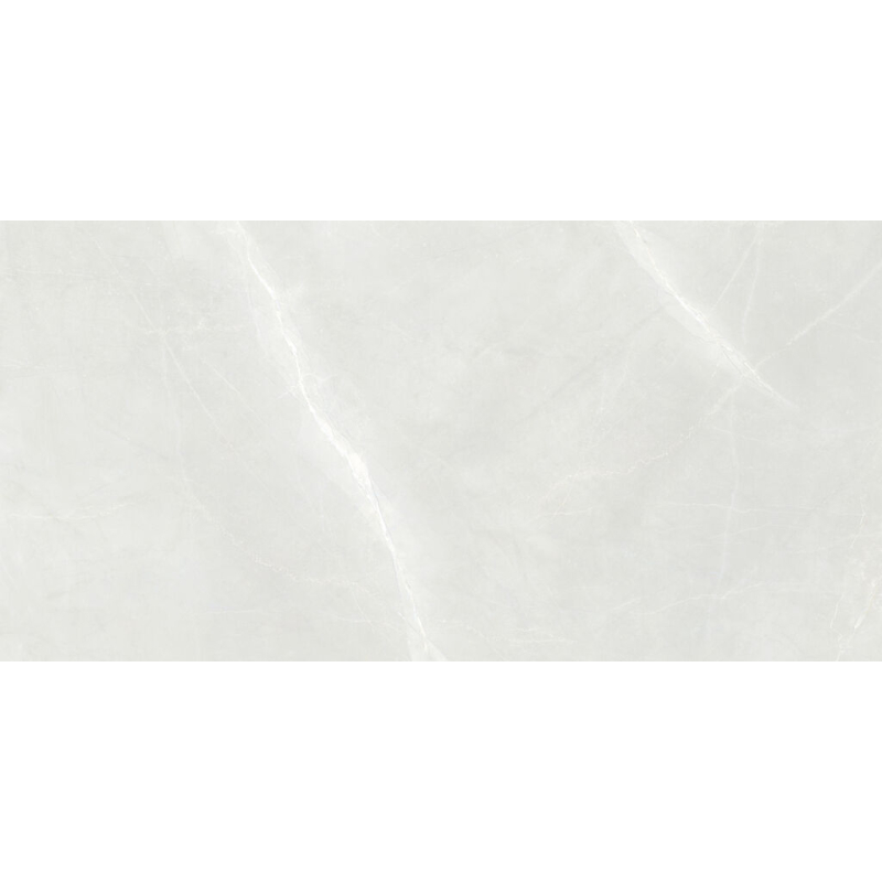 PARADISE WHITE MAT 60X120 REKT. GAT.1 (P.102817)