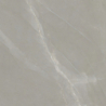 PARADISE TAUPE MAT 60X60 REKT. GAT.1 (P.102839)