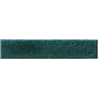 PUCK LAKE BRILLO 5X25 GAT.1 (P.102883)