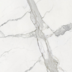 STATUARIO POLER 120X120...