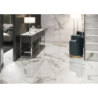 STATUARIO LUXE POLER 60X120 REKT. GAT.1 (P.103141)