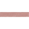 SWITCH CORAL BRILLO 6,5X39,5 GAT.1 (P.103177)