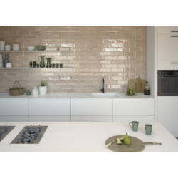 TITAN DECOR VISON BRILLO 10X30,5 GAT.1 (P.103265)