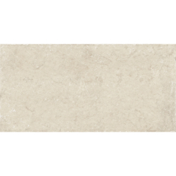 TREVIA BEIGE MAT 60X120...