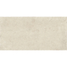 TREVIA BEIGE MAT 60X120 REKT. GAT.1 (P.103275)