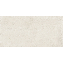 TREVIA IVORY MAT 60X120...