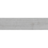 VERMONT SILVER MAT 30X120 REKT. GAT.1 (P.103319)