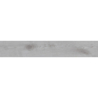 VERMONT SILVER MAT 20X120 REKT. GAT.1 (P.103327)