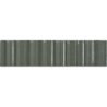 VOLUME SAGE BRILLO 6X25 GAT.1 (P.103413)