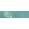 ALTEA AQUA POŁYSK 7.5X30 GAT.1 (P.103535)