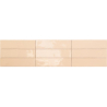 ALTEA CORAL POŁYSK 7.5X30 GAT.1 (P.103541)