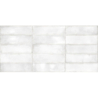 ATLANTIQUE BLANC POŁYSK 6,9X24 GAT.1 (P.103599)