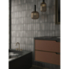 RENANIA GRAFITO MAT 6,5X20 GAT.1 (P.103969)