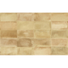 XABIA PAJA MAT 11,5X23,1 GAT.1 (P.104129)