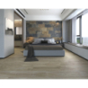 ARDESIA MULTICOLORE MAT 60X120 REKT. GAT.1 (P.104147)