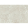 PIETRA VIVA BONE MAT 120X120 REKT. GAT.1 (P.104217)