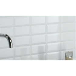 BISELADO BLANCO BRILLO POŁYSK 10X20 GAT.1 (P.104485)