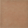 XIAN ARENA MAT 20X20 GAT.1 (P.104947)