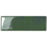 BEJMAT OLIVE GLOSS 5X15 GAT.1 (P.105153)
