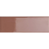 BITS CHESTNUT GLOSS 3,7X11,6 GAT.1 (P.105181)