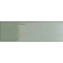 BITS KALE GLOSS 3,7X11,6...
