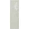 COLOUR NOTES AGATA GLOSS 4X12,5 GAT.1 (P.105389)