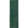 COLOUR NOTES FENNEL GLOSS 4X12,5 GAT.1 (P.105393)